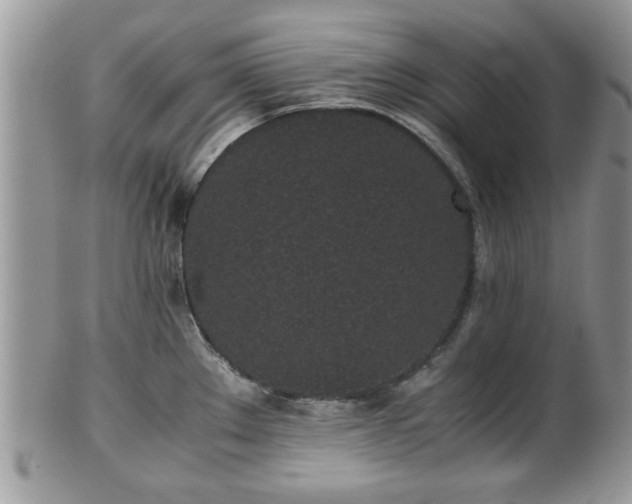 X0000102031289200807251343