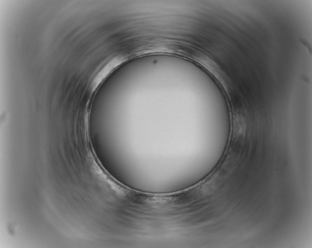 X0000102031290200807251343