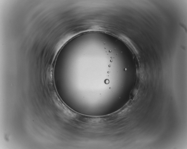 X0000102031292200807251343