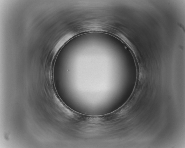 X0000102031293200807251343