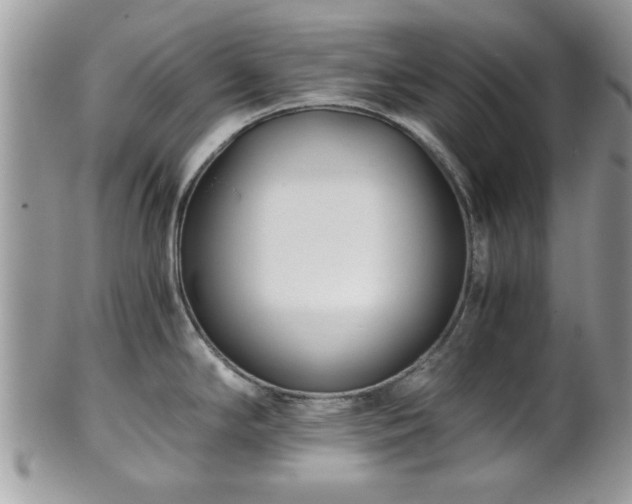 X0000102031294200807251343