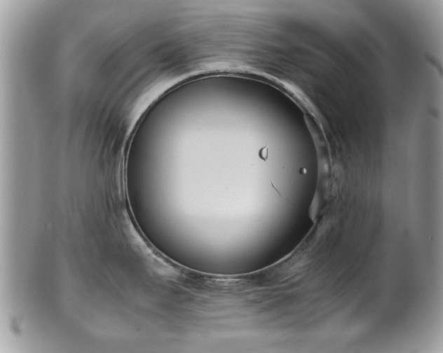 X0000102031295200807251343