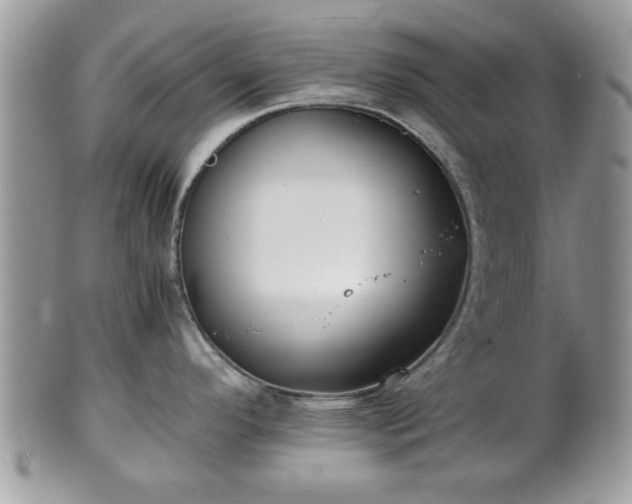 X0000102031296200807251343