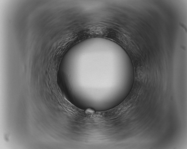 X0000102031297200807251342