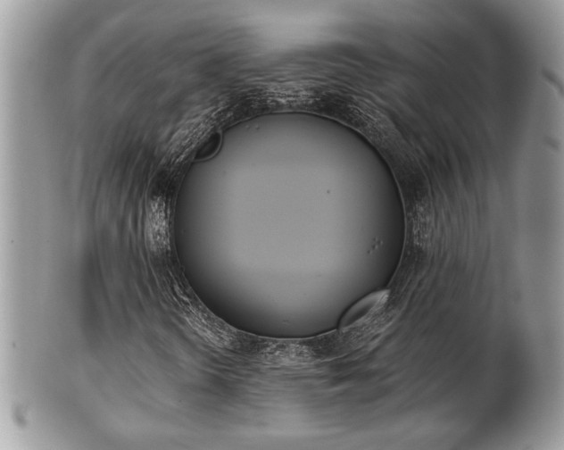 X0000102031298200807251342