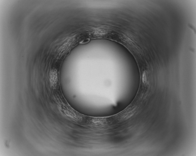 X0000102031299200807251342