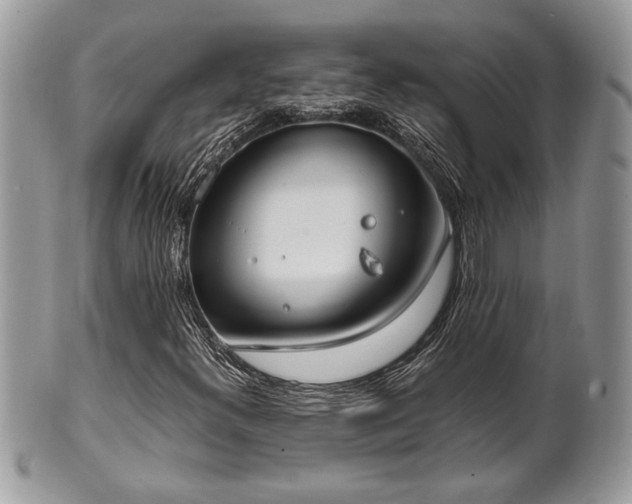 X0000102031300200807251342