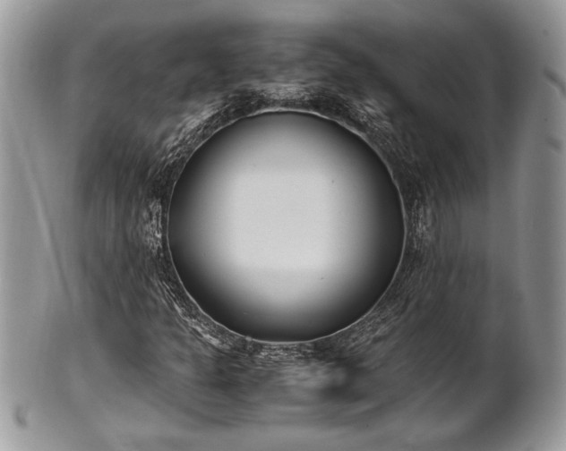 X0000102031301200807251342