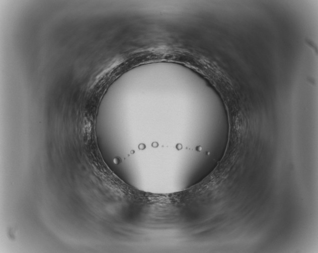 X0000102031302200807251342