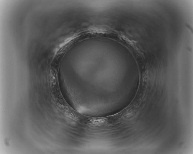 X0000102031303200807251342