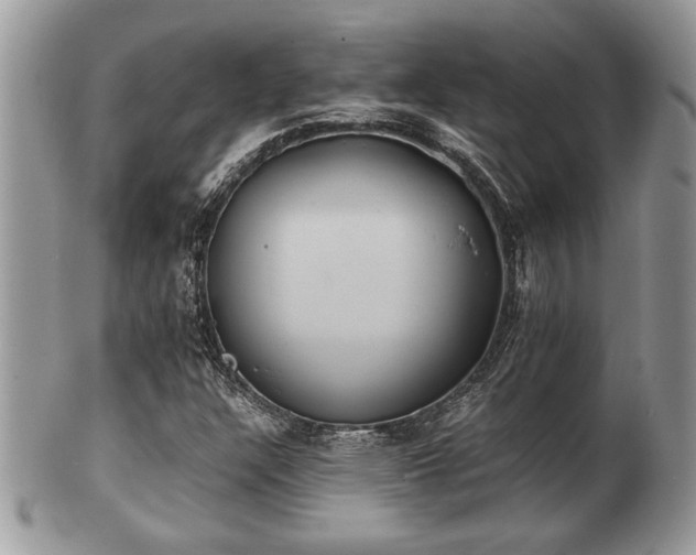 X0000102031304200807251342