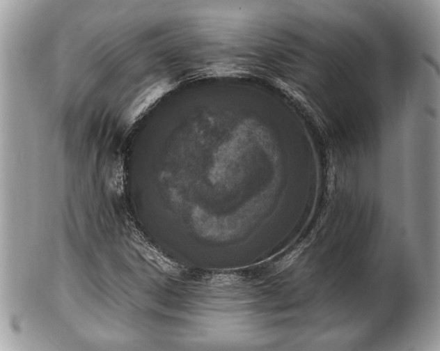 X0000102031306200807251342