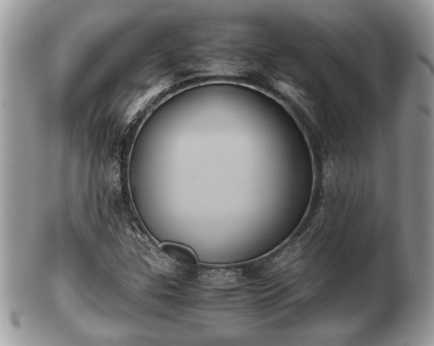 X0000102031307200807251342