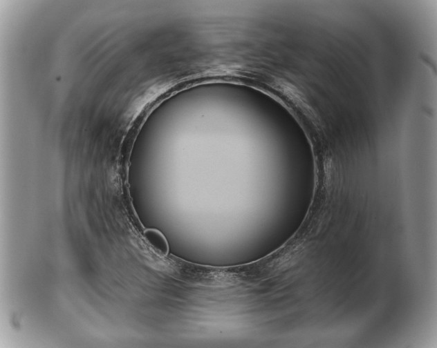 X0000102031308200807251342