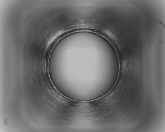 X0000102031310200807251342