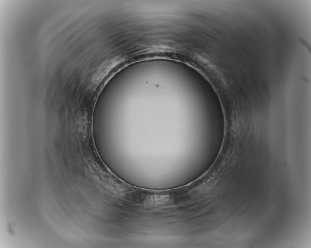 X0000102031313200807251343