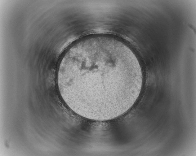 X0000102031314200807251343