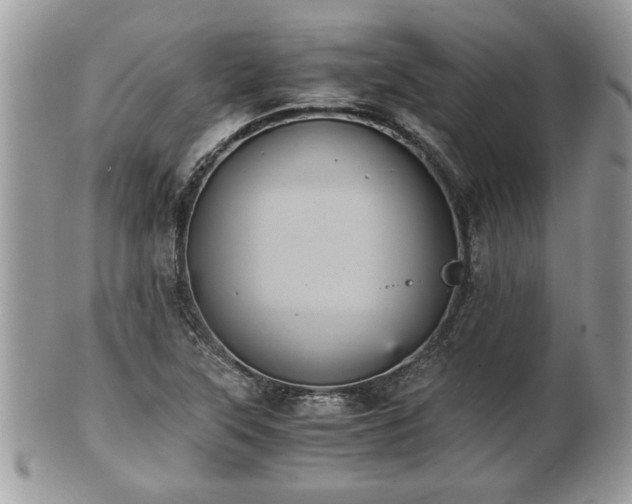 X0000102031315200807251343