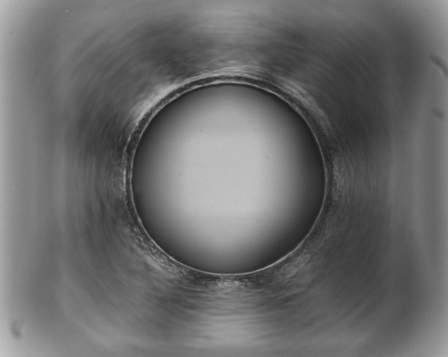 X0000102031316200807251343