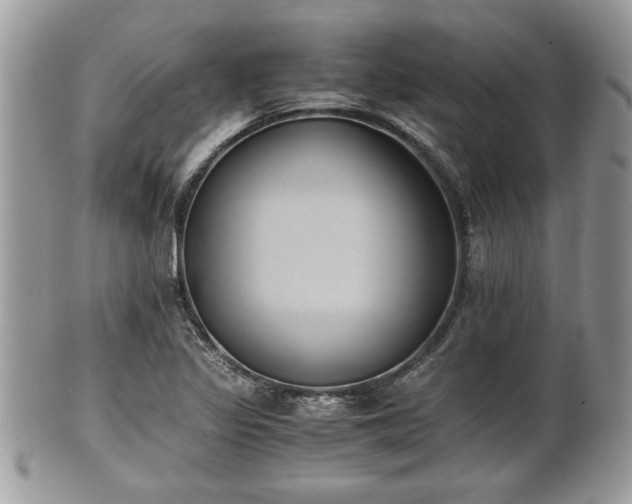 X0000102031317200807251343