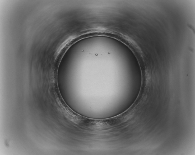 X0000102031318200807251343