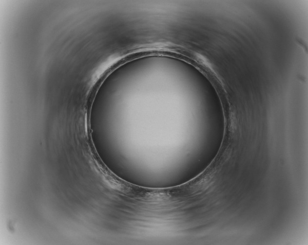 X0000102031320200807251343