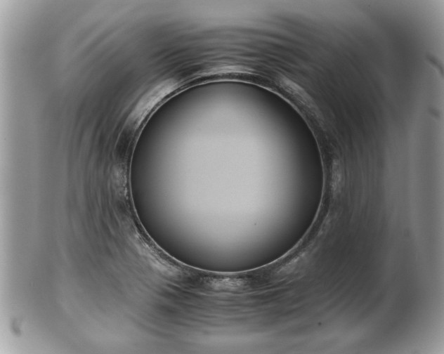 X0000102031321200807251343