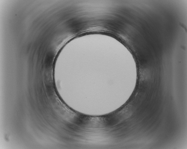 X0000102031322200807251343