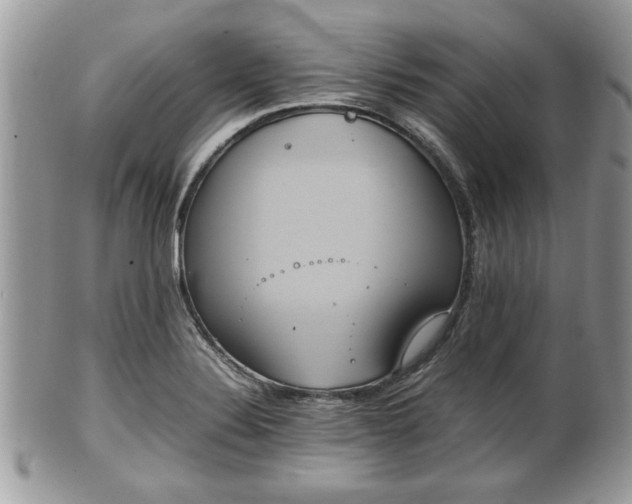 X0000102031324200807251343