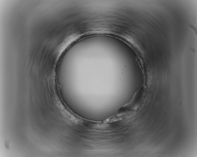 X0000102031325200807251343