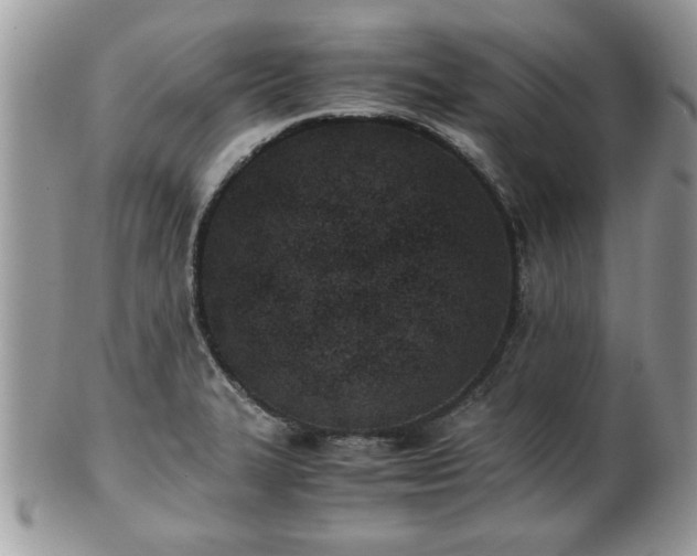 X0000102031327200807251343