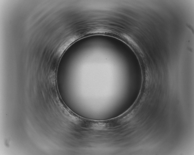 X0000102031329200807251343