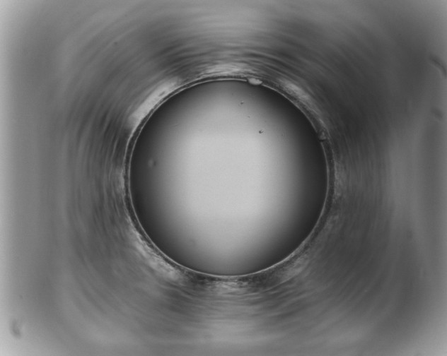 X0000102031330200807251343