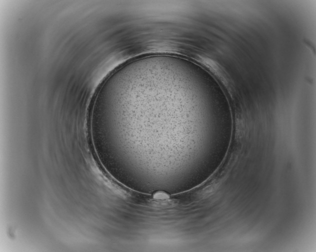 X0000102031331200807251343