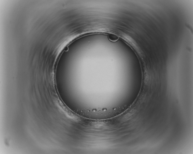 X0000102031332200807251343