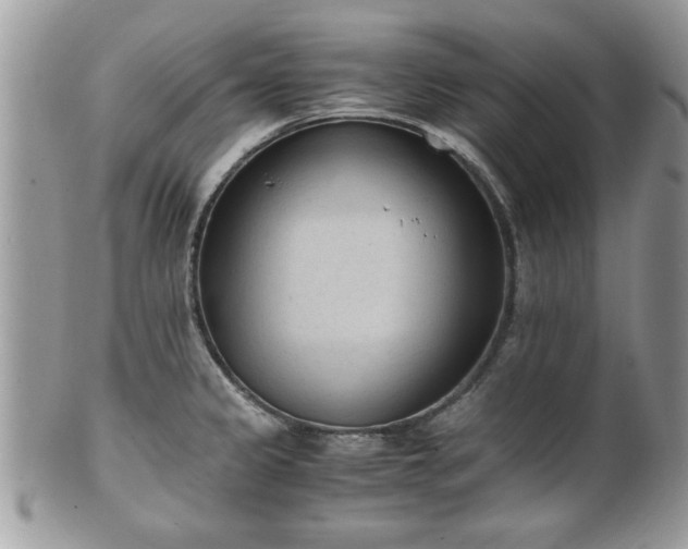 X0000102031333200807251343