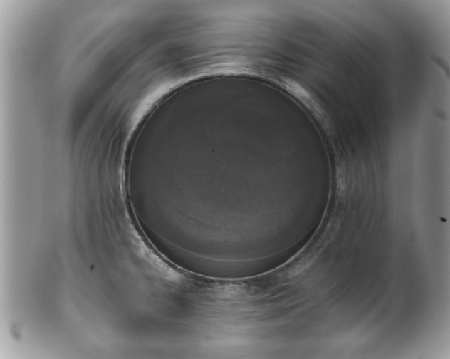 X0000102031334200807251343