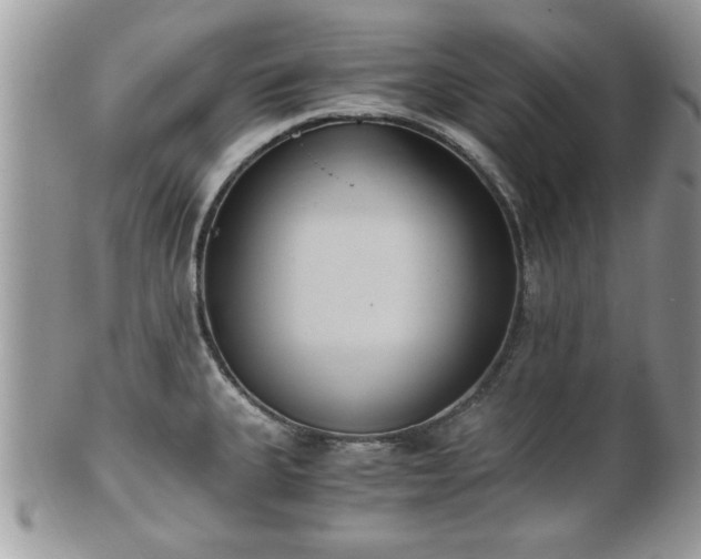 X0000102031335200807251343