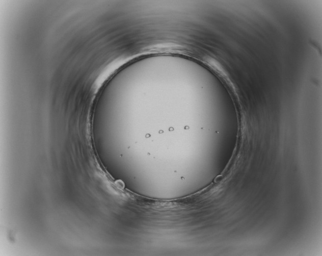 X0000102031336200807251343