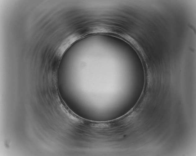 X0000102031337200807251343