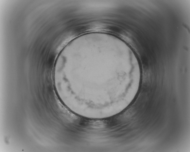 X0000102031338200807251343