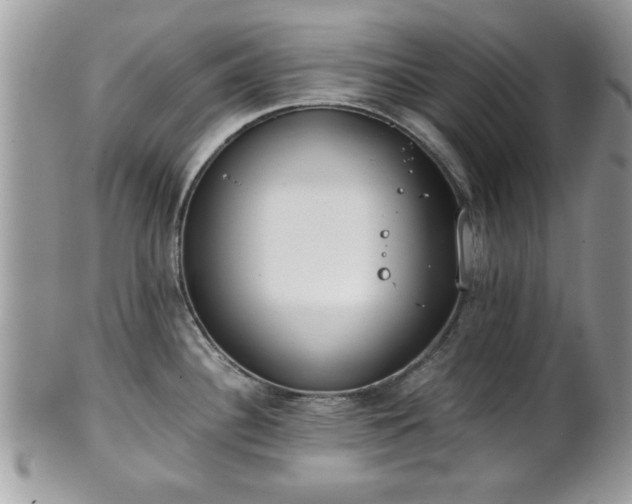 X0000102031340200807251343