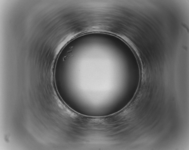 X0000102031341200807251343