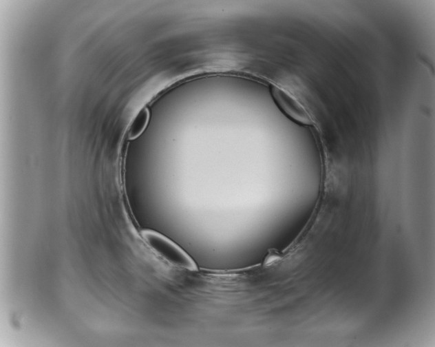 X0000102031342200807251343