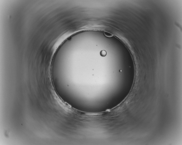 X0000102031344200807251343