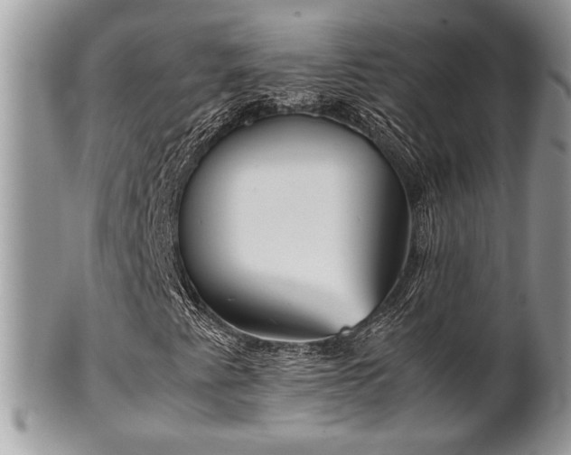 X0000102031345200807251342