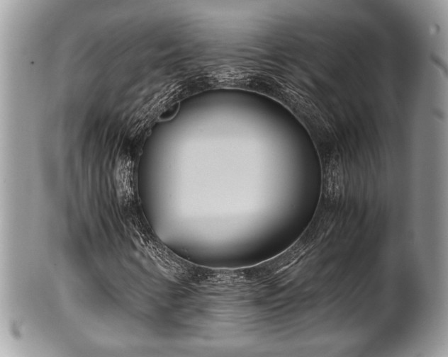 X0000102031346200807251342