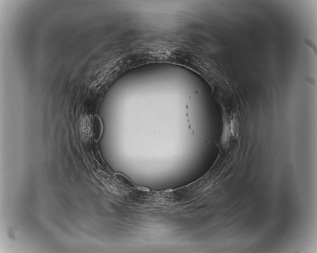 X0000102031347200807251342