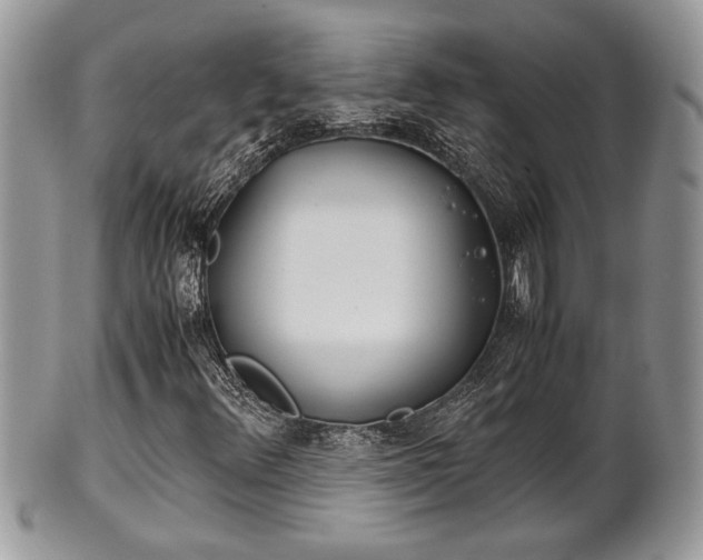 X0000102031348200807251342