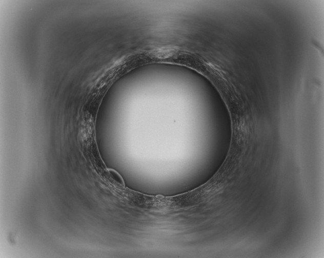 X0000102031349200807251342